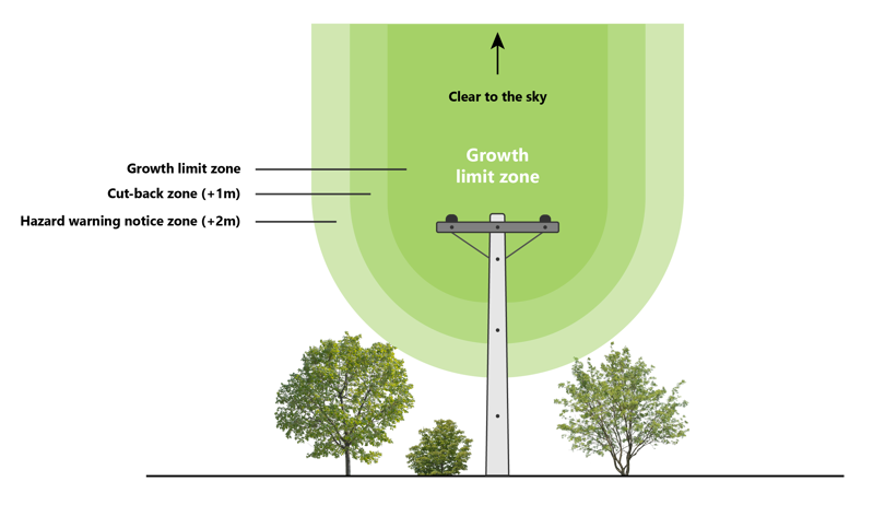 Tree regulation graphic_Clear to sky-cropped.png