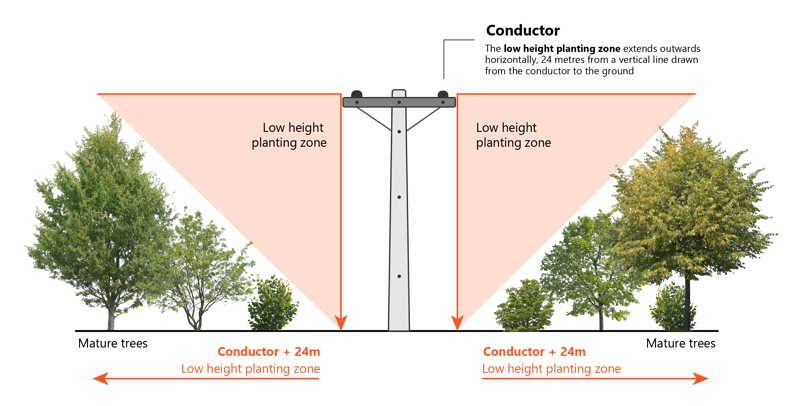 Tree regulation graphic_Low height planting zone-cropped.png